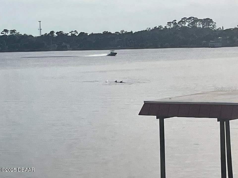 2711 North Halifax Avenue, Unit 593 Daytona Beach, FL 32118 - Photo 29 of 42 a view of lake and mountain