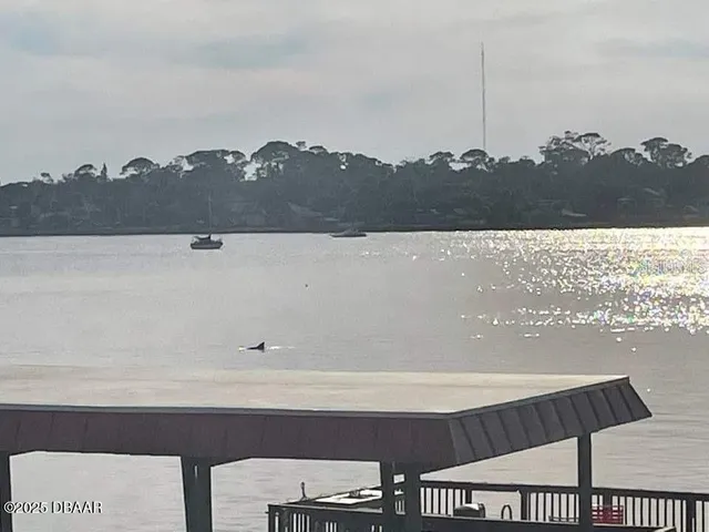 $1,700 | 2711 North Halifax Avenue, Unit 593, Daytona Beach, FL 32118