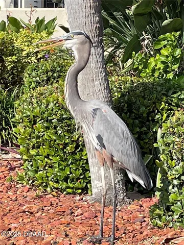 $1,700 | 2711 North Halifax Avenue, Unit 593, Daytona Beach, FL 32118