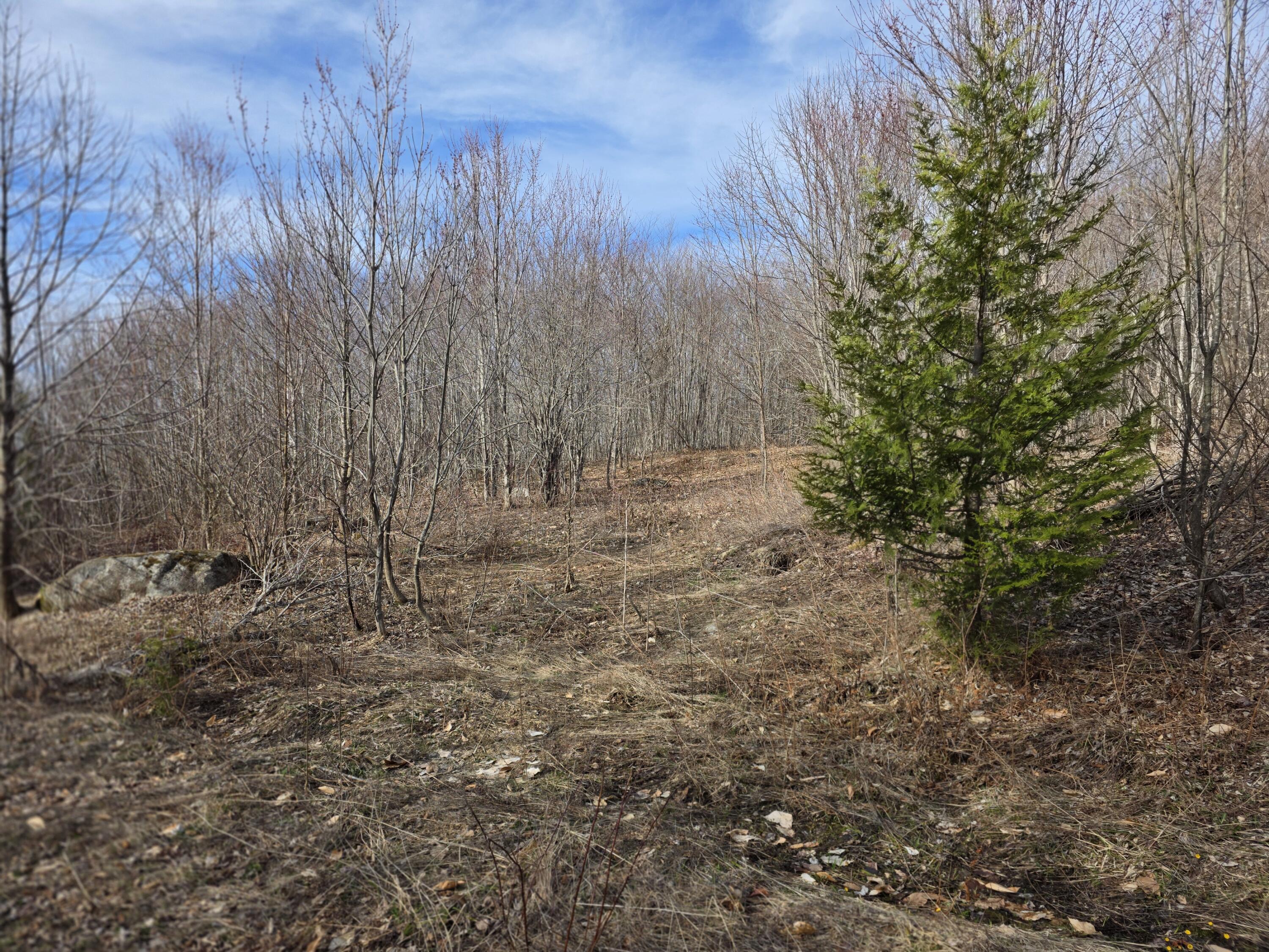 10 Moose Ridge Road Oakfield, ME 04763 - Photo 5 of 13