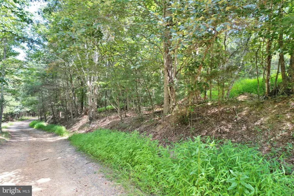 a big yard with lots of green space and plants