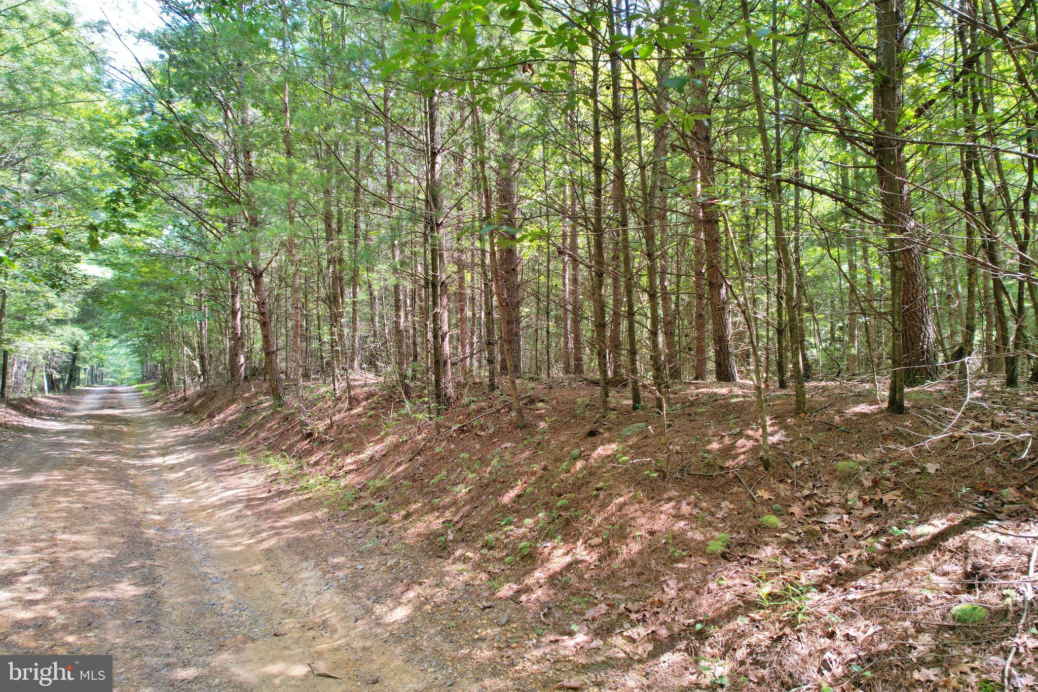 Alum Springs Road Edinburg, VA 22824 - Photo 14 of 20 a view of outdoor space and yard