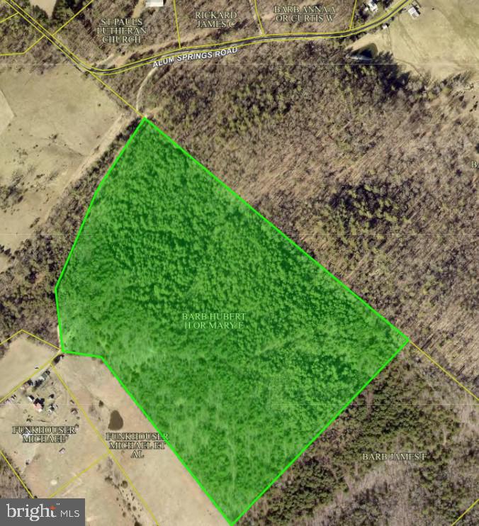 Alum Springs Road Edinburg, VA 22824 - Photo 2 of 20 a view of a garden with a pathway