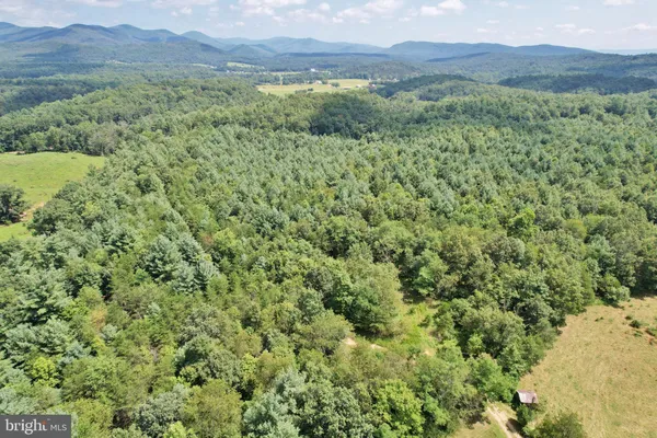 a view of a lush green forest with trees and some houses