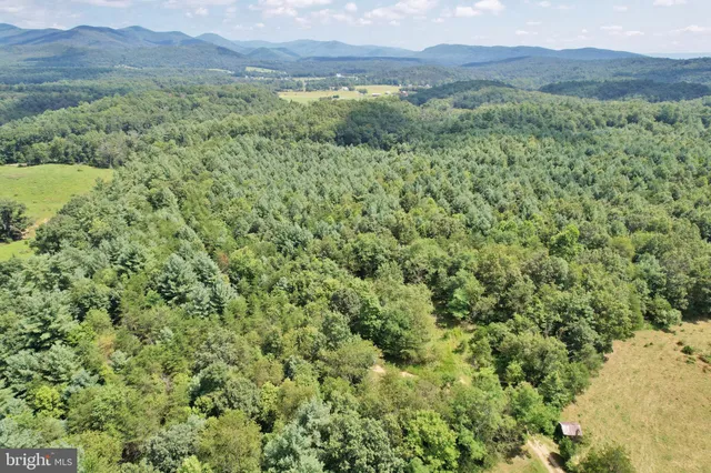 a view of a lush green forest with trees and some houses