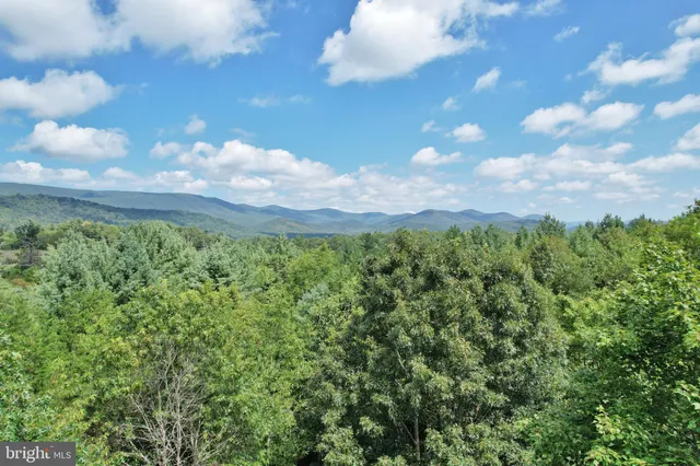 a view of a bunch of trees