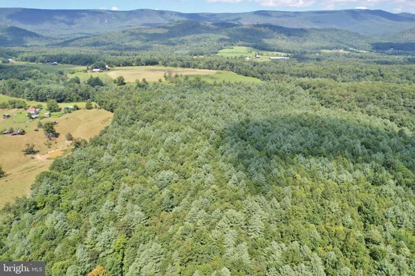 a view of a lush green field