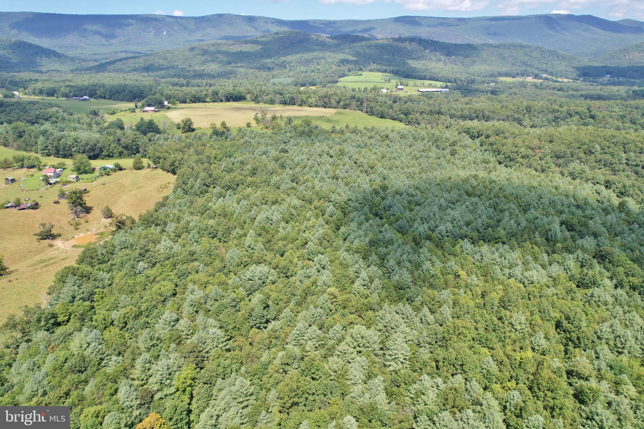 Alum Springs Road Edinburg, VA 22824 - Photo 7 of 20 a view of a lush green field