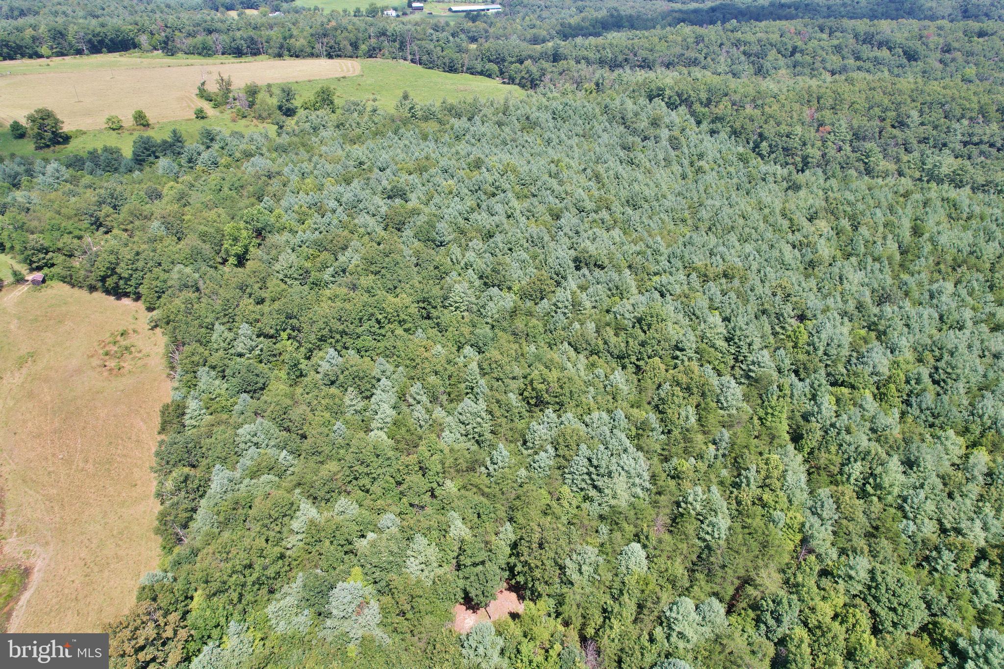 Alum Springs Road Edinburg, VA 22824 - Photo 8 of 20 a view of a field with an outdoor space