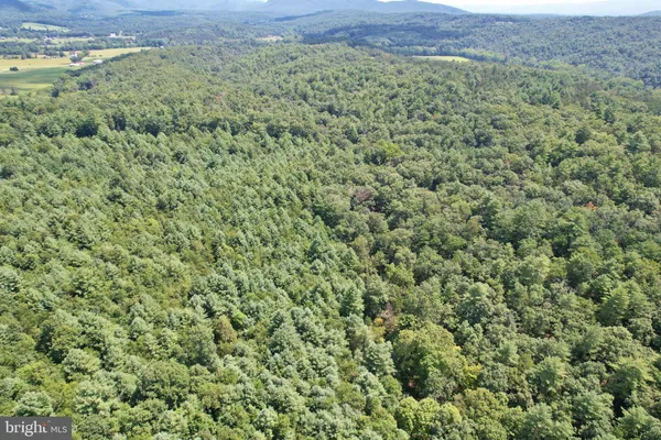 a view of a large yard with lots of green space