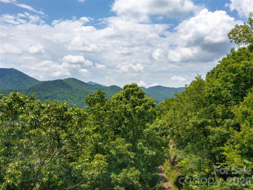21 Long Winding Road, Unit 4 5 Sylva, NC 28779 - Photo 1 of 15 a view of a bunch of trees