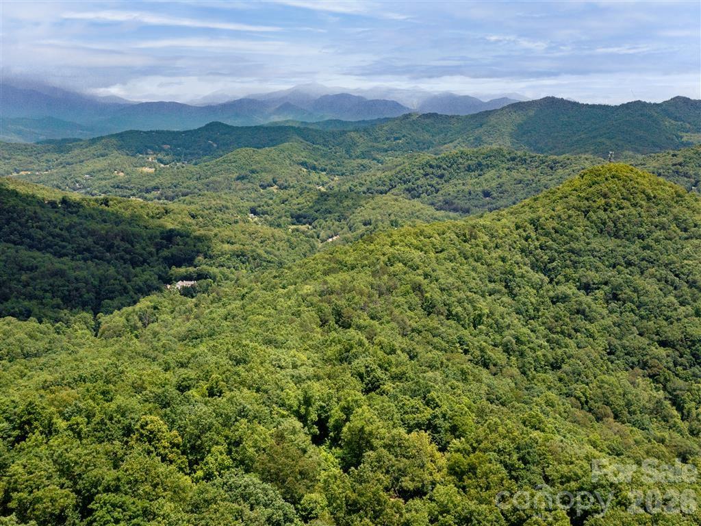 21 Long Winding Road, Unit 4 5 Sylva, NC 28779 - Photo 11 of 15 a view of a lush green forest with lush green forest
