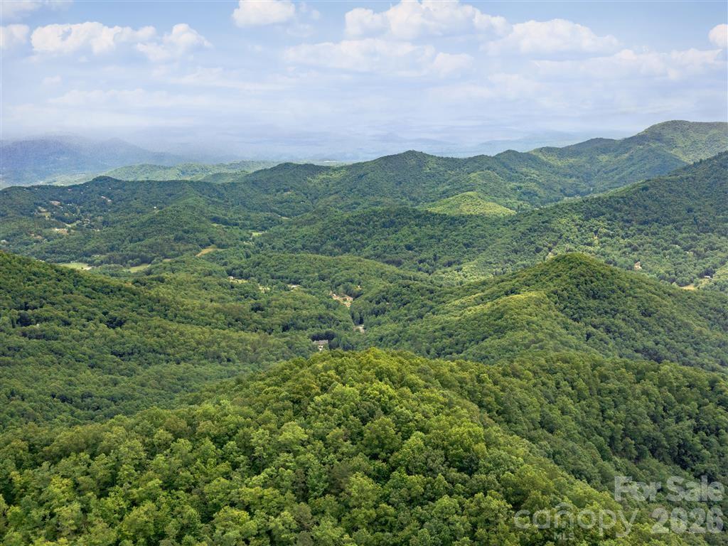 21 Long Winding Road, Unit 4 5 Sylva, NC 28779 - Photo 12 of 15 a view of a green field with lots of bushes