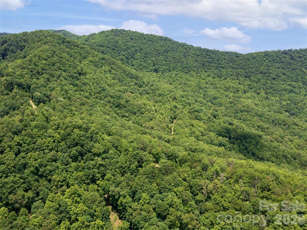 21 Long Winding Road, Unit 4 5 Sylva, NC 28779 - Photo 13 of 15 a view of a lush green field