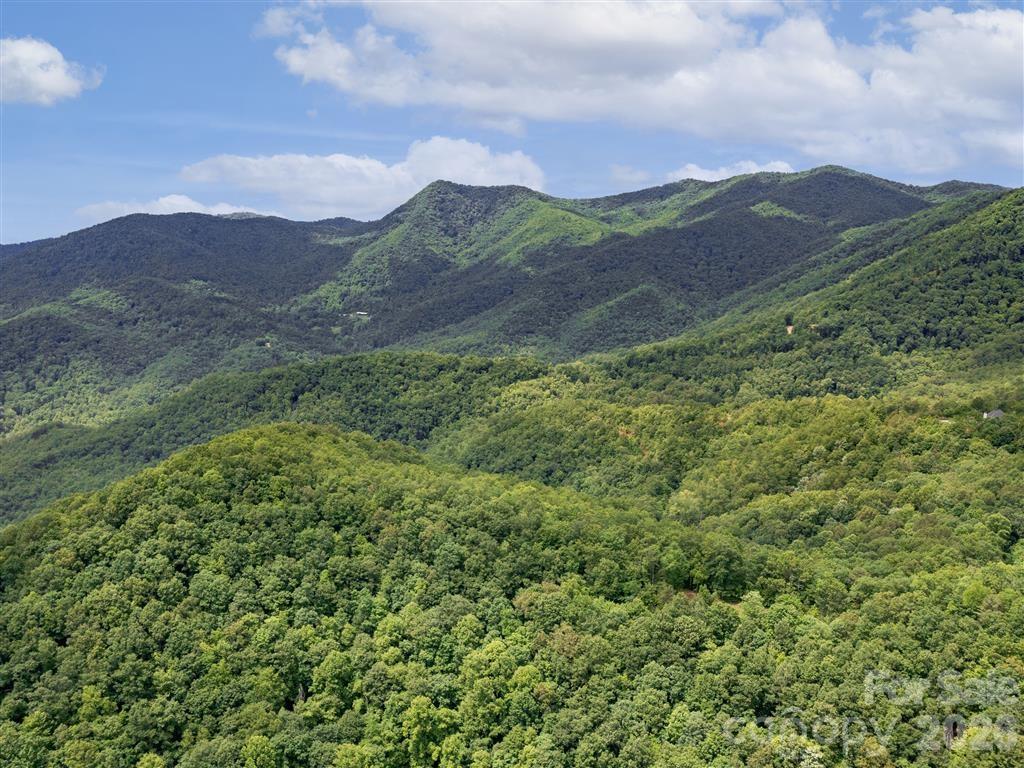 21 Long Winding Road, Unit 4 5 Sylva, NC 28779 - Photo 2 of 15 a view of a lush green hillside and a houses