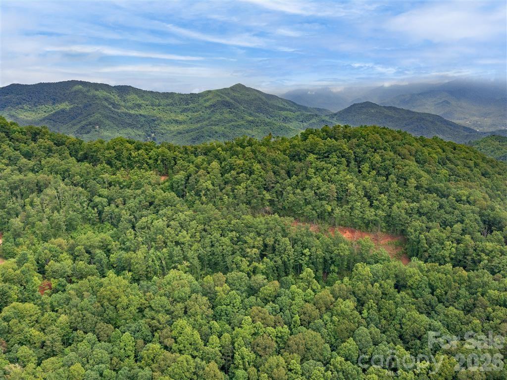 21 Long Winding Road, Unit 4 5 Sylva, NC 28779 - Photo 3 of 15 a view of a lush green field with a mountain in the background