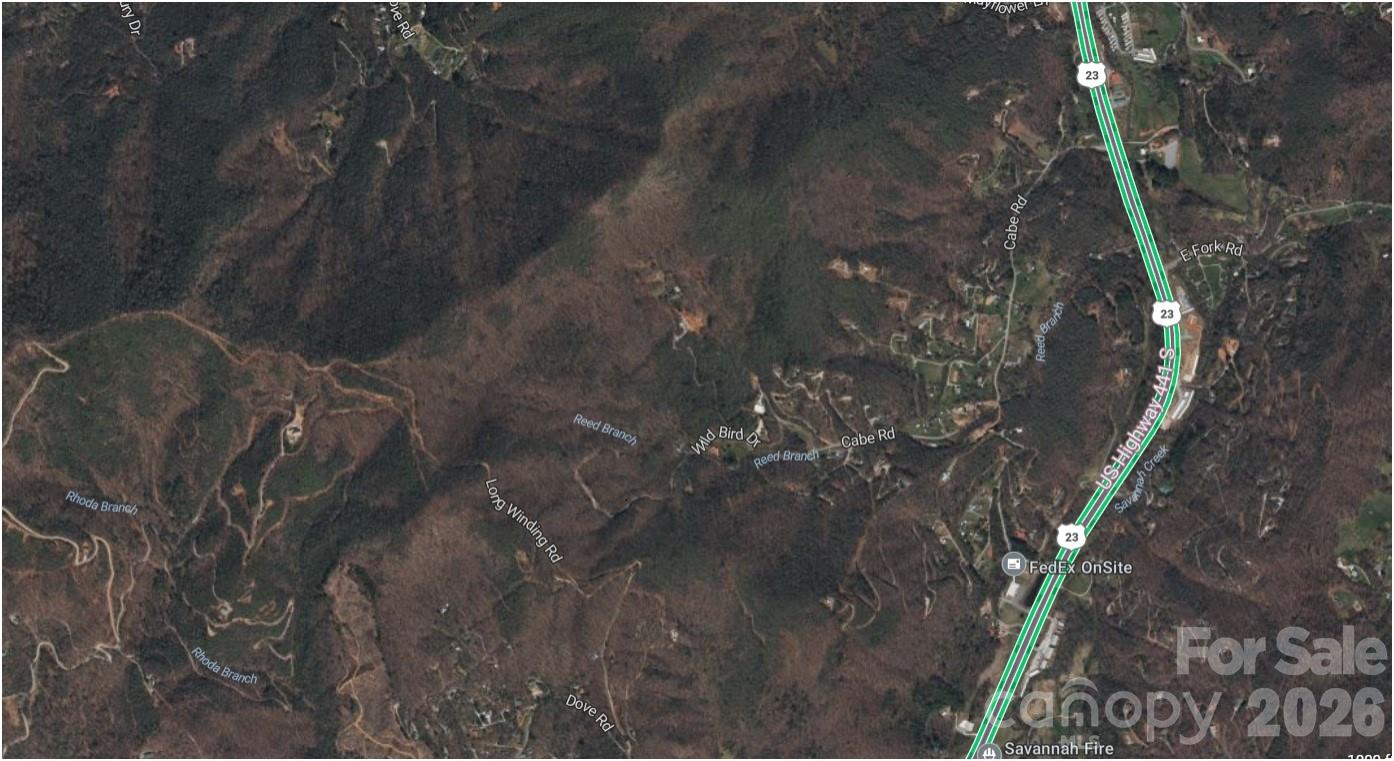 21 Long Winding Road, Unit 4 5 Sylva, NC 28779 - Photo 5 of 15 a close up of a plant in a forest