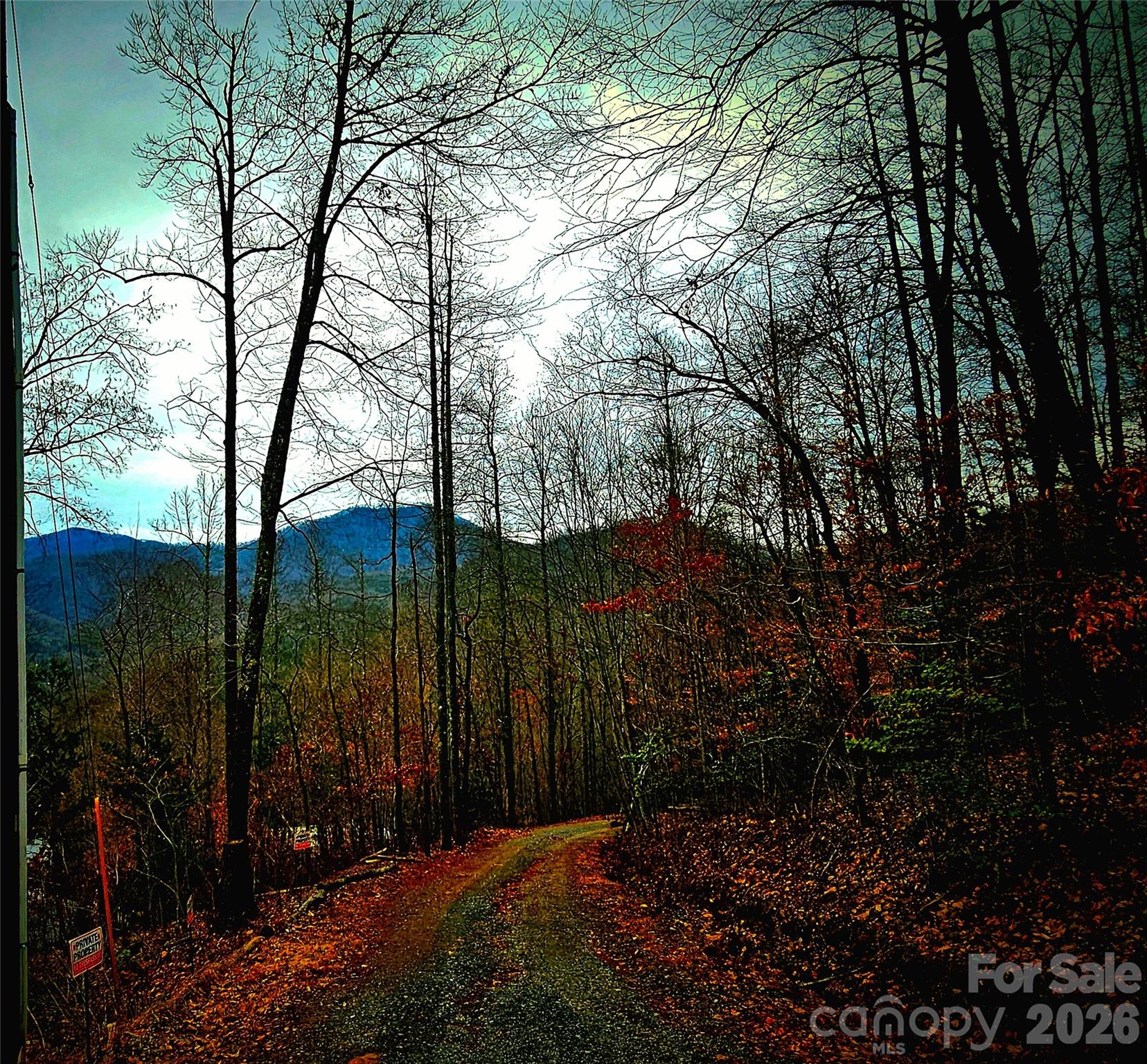 21 Long Winding Road, Unit 4 5 Sylva, NC 28779 - Photo 10 of 15 a view of backyard with green space