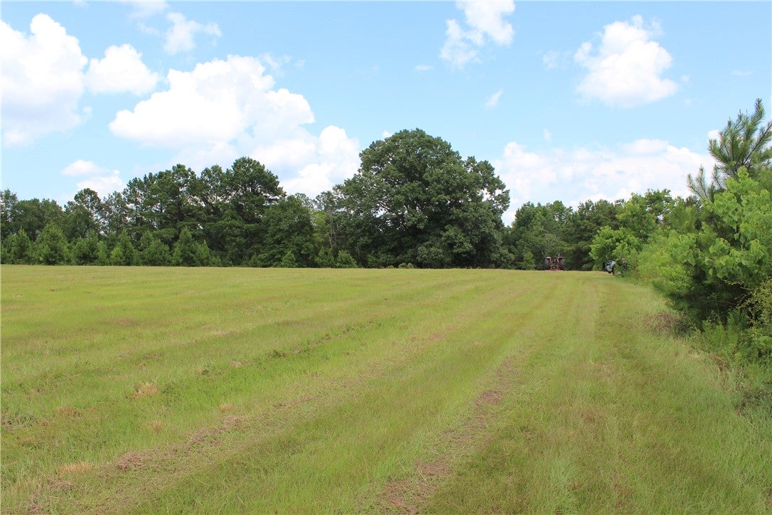 0 Brooks Road Phenix City, AL 36870 - Photo 7 of 14 Gallery Image 7