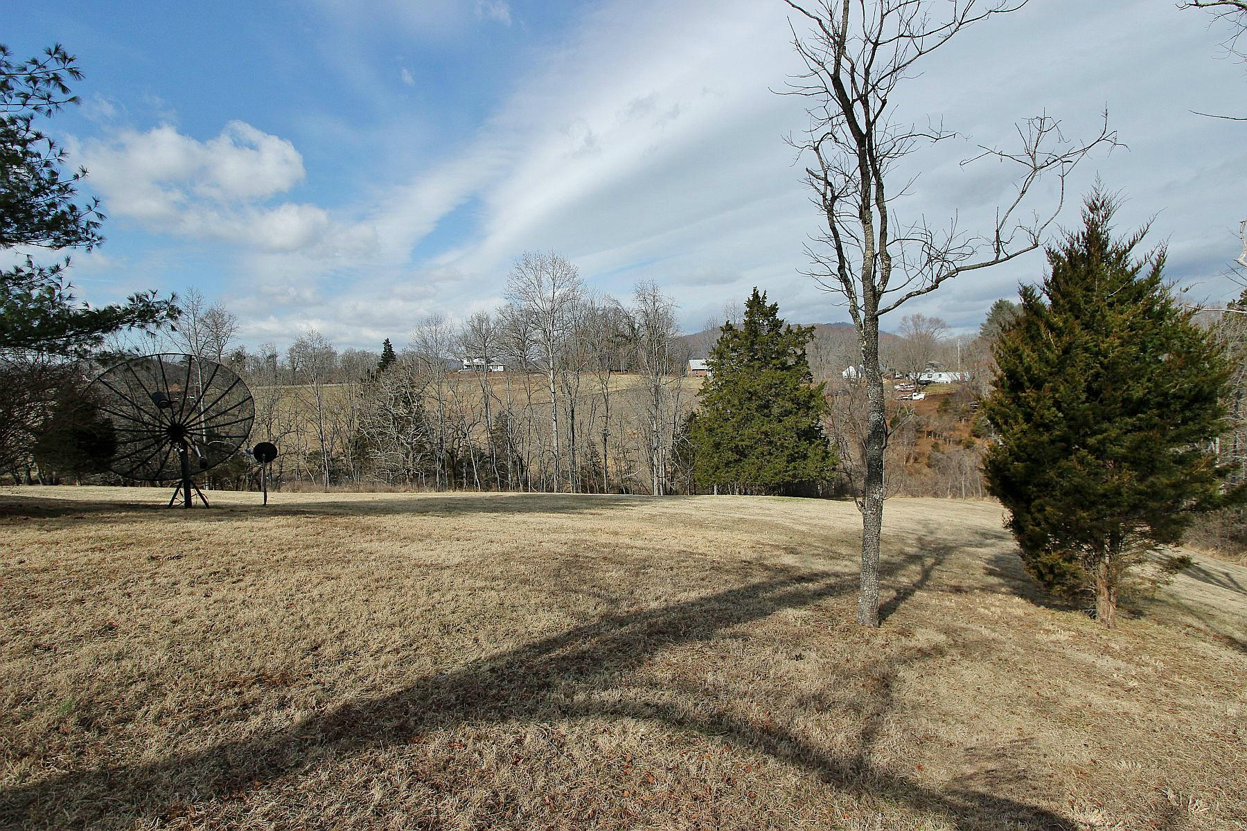 1131 Quarles Road Thaxton, VA 24174 - Photo 14 of 58 a view of dirt yard with large trees