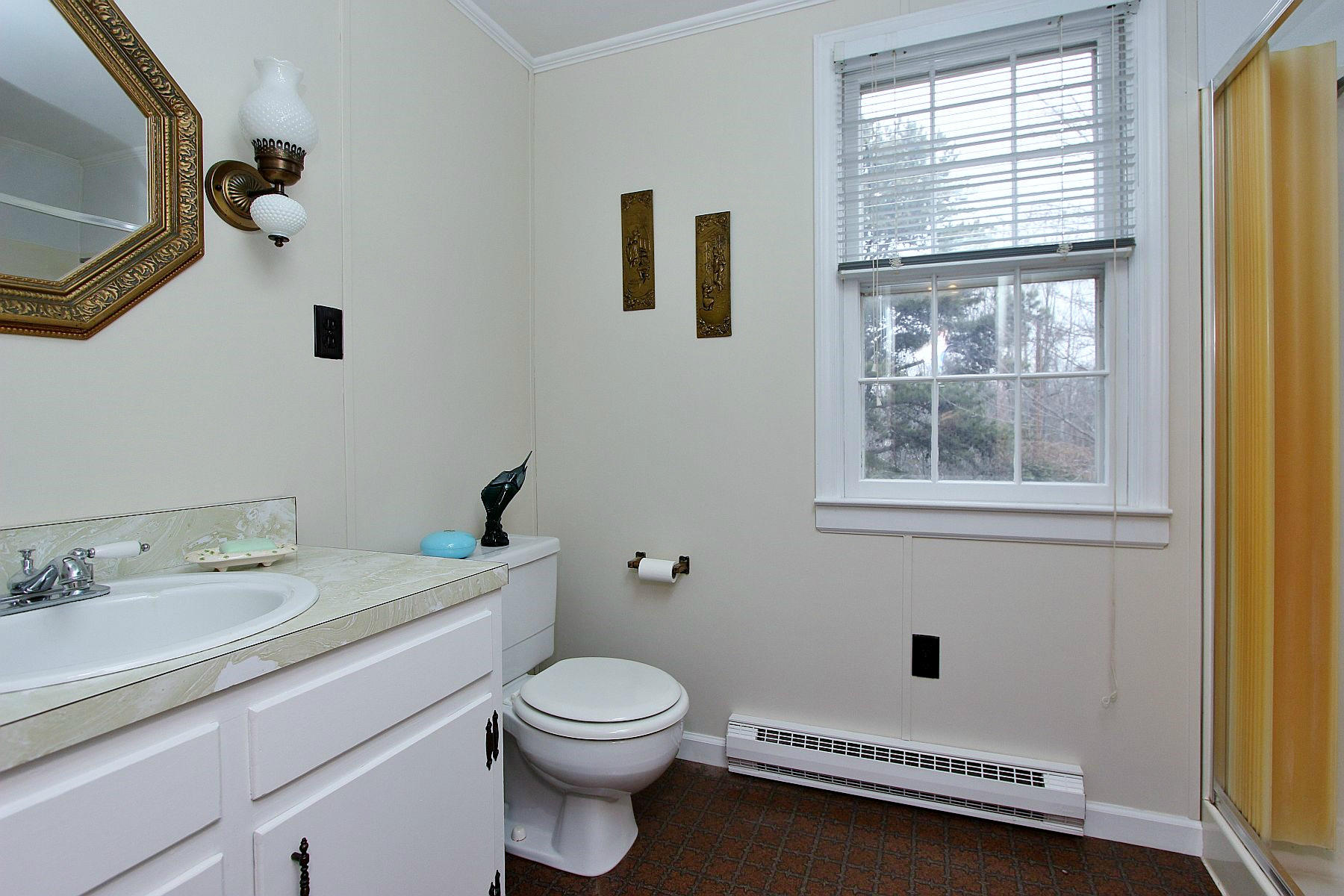 1131 Quarles Road Thaxton, VA 24174 - Photo 44 of 58 a bathroom with a toilet a sink and mirror