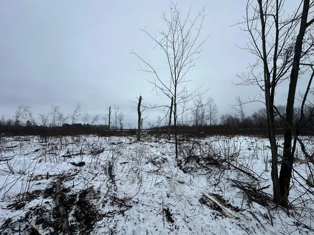 $80,000 | Tbd #2 Koecher Road, Kerrick, MN 55756