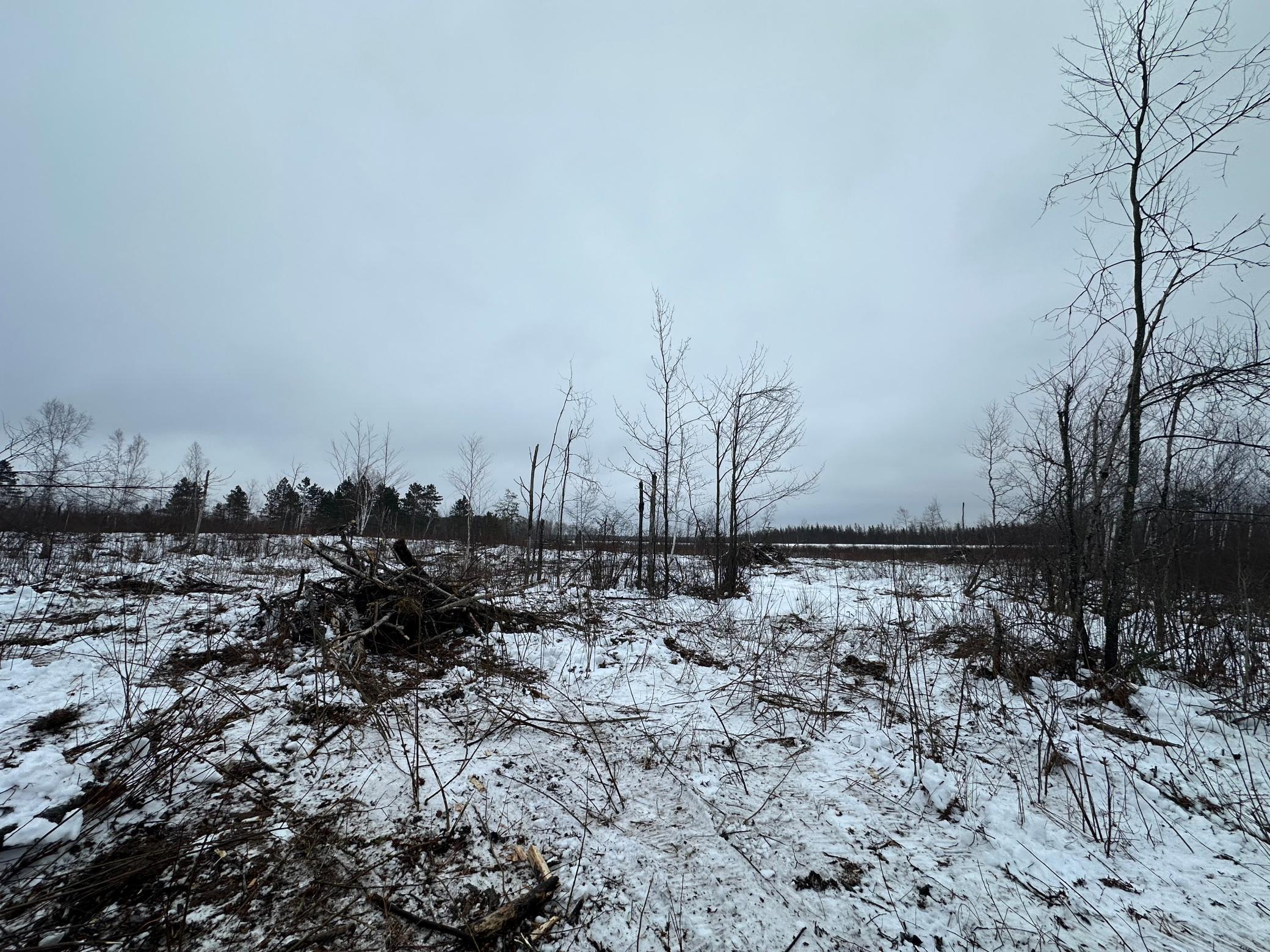 Tbd #2 Koecher Road Kerrick, MN 55756 - Photo 5 of 14