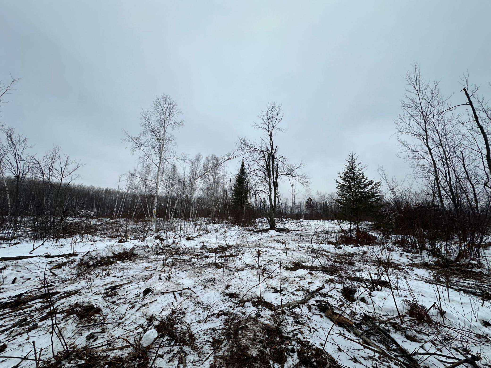 Tbd #2 Koecher Road Kerrick, MN 55756 - Photo 7 of 14