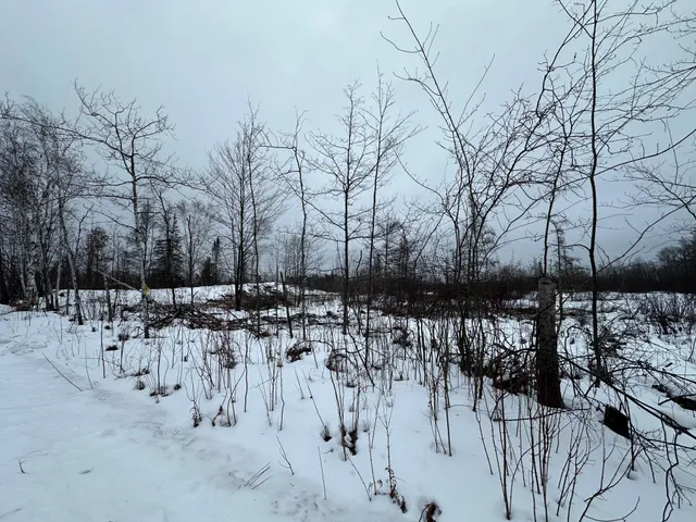 $80,000 | Tbd #2 Koecher Road, Kerrick, MN 55756