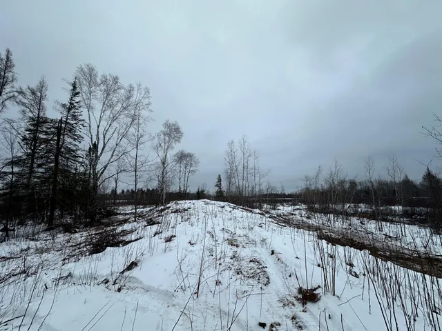 $80,000 | Tbd #2 Koecher Road, Kerrick, MN 55756