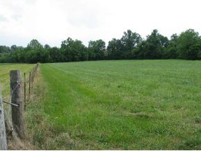 0 Weems Road Greeneville, TN 37745 - Photo 2 of 12 Photo 2