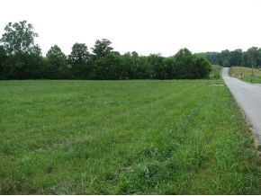 0 Weems Road Greeneville, TN 37745 - Photo 3 of 12 Photo 3