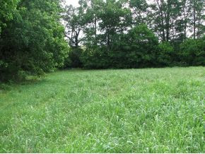 0 Weems Road Greeneville, TN 37745 - Photo 4 of 12 Photo 4