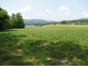 0 Weems Road Greeneville, TN 37745 - Photo 9 of 12 Photo 9