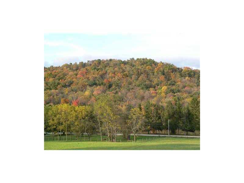 115 Creek Road Bolivar, PA 15923 - Photo 3 of 10 View.