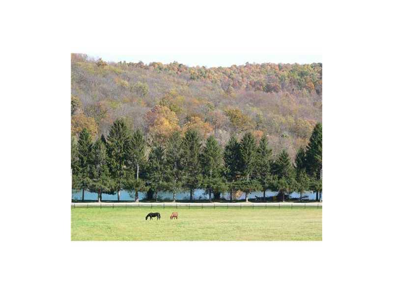 115 Creek Road Bolivar, PA 15923 - Photo 4 of 10 View.