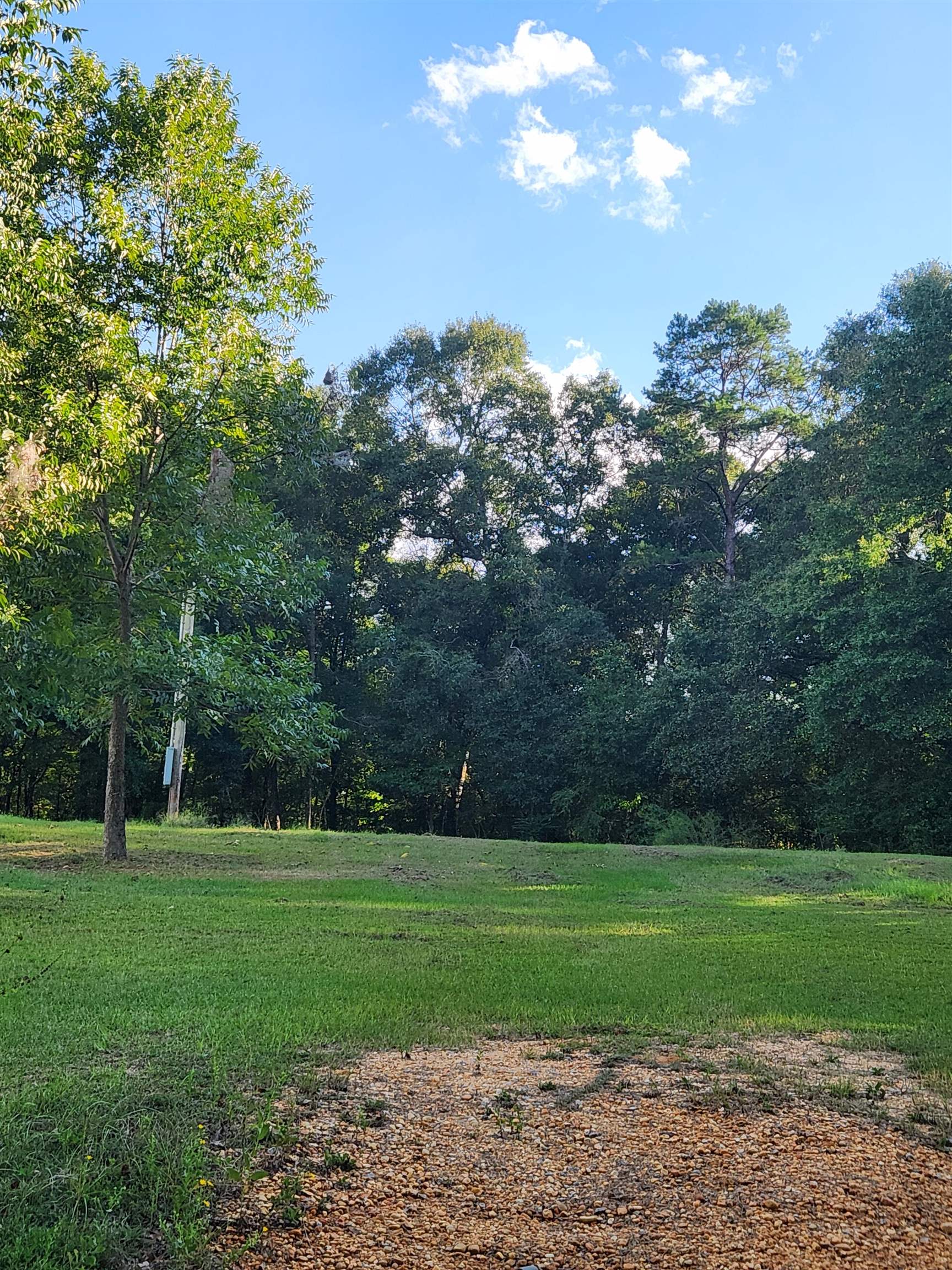 11522 Lawson Road Andalusia, AL 36421 - Photo 3 of 3 Gallery Image 3