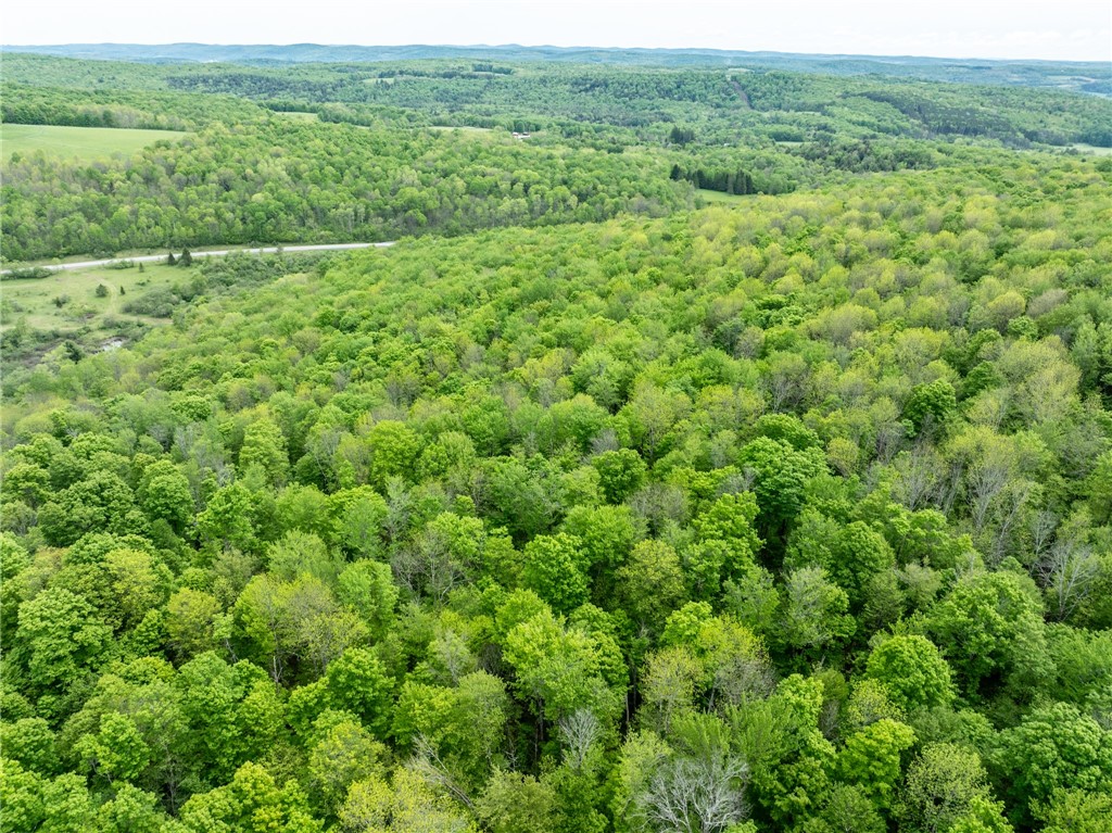 24 County Road New Berlin, NY 13411 - Photo 13 of 19
