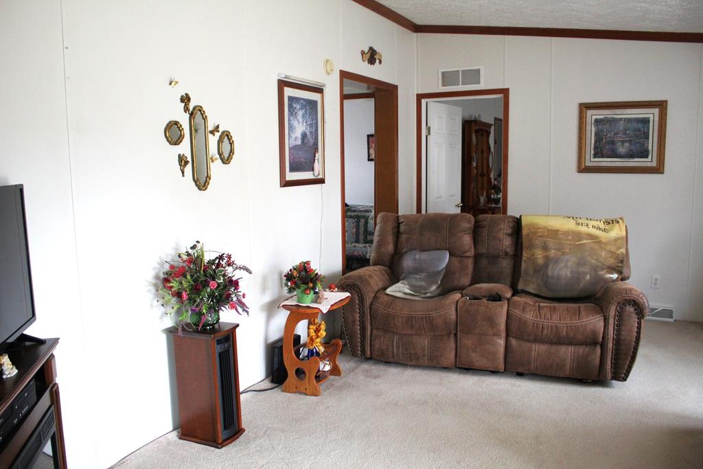 3653 Ivanhoe Road Ivanhoe, VA 24350 - Photo 24 of 48 Gallery Image 24