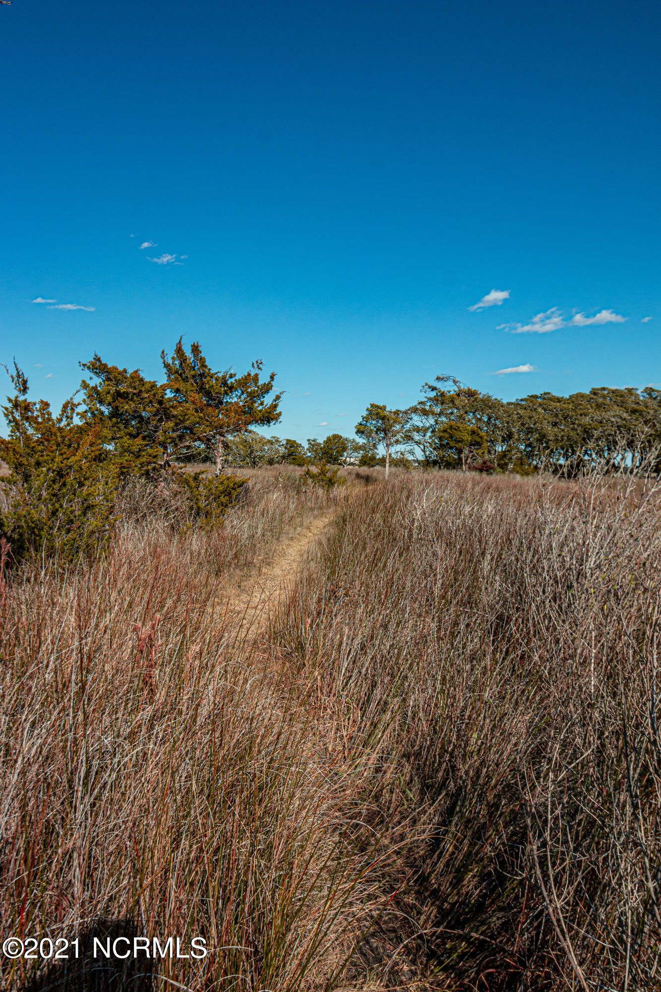 Lot 44 Riverside Drive Southwest Sunset Beach, NC 28468 - Photo 19 of 27 IMG_0631