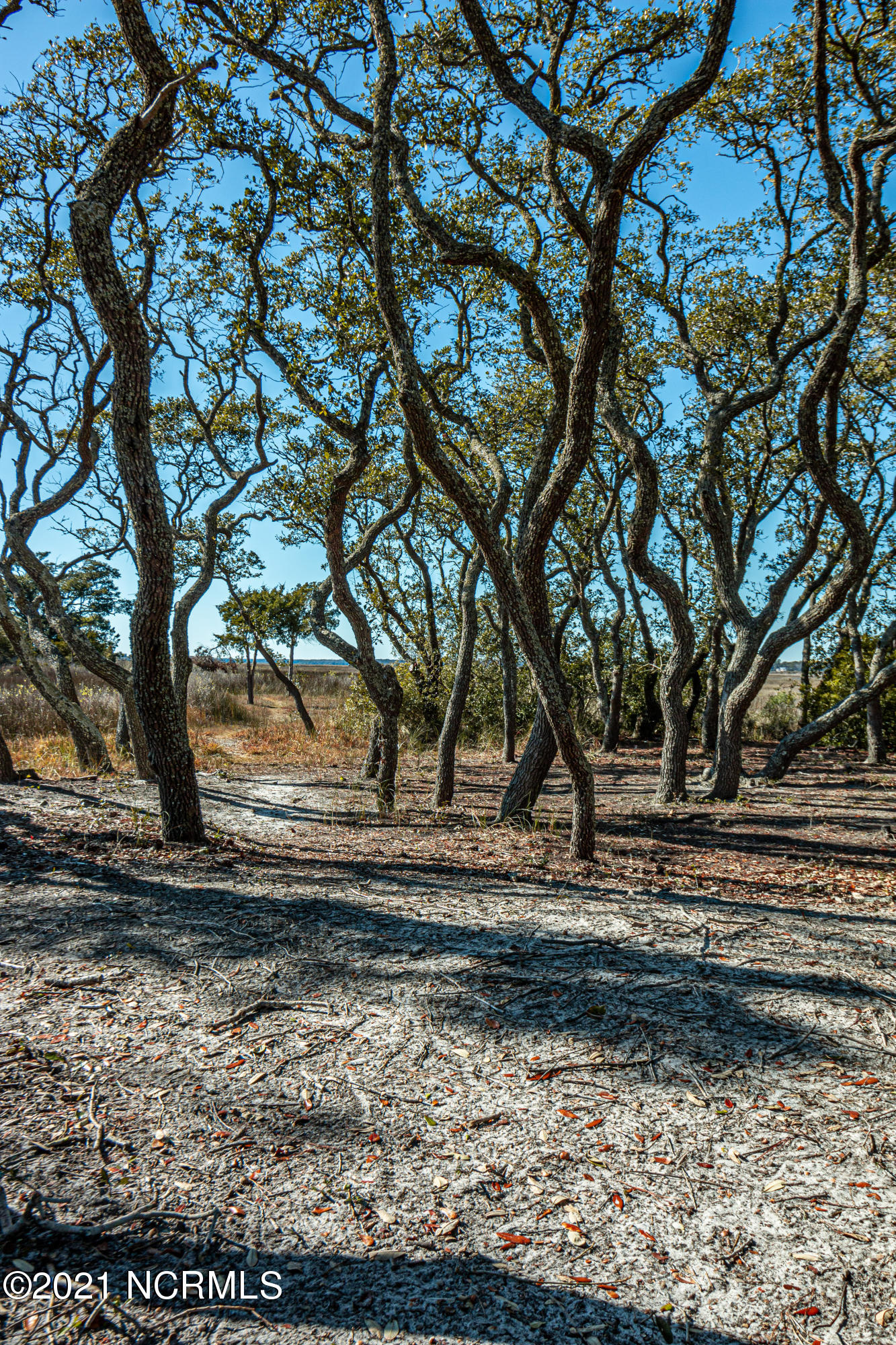 Lot 44 Riverside Drive Southwest Sunset Beach, NC 28468 - Photo 20 of 27 IMG_0629