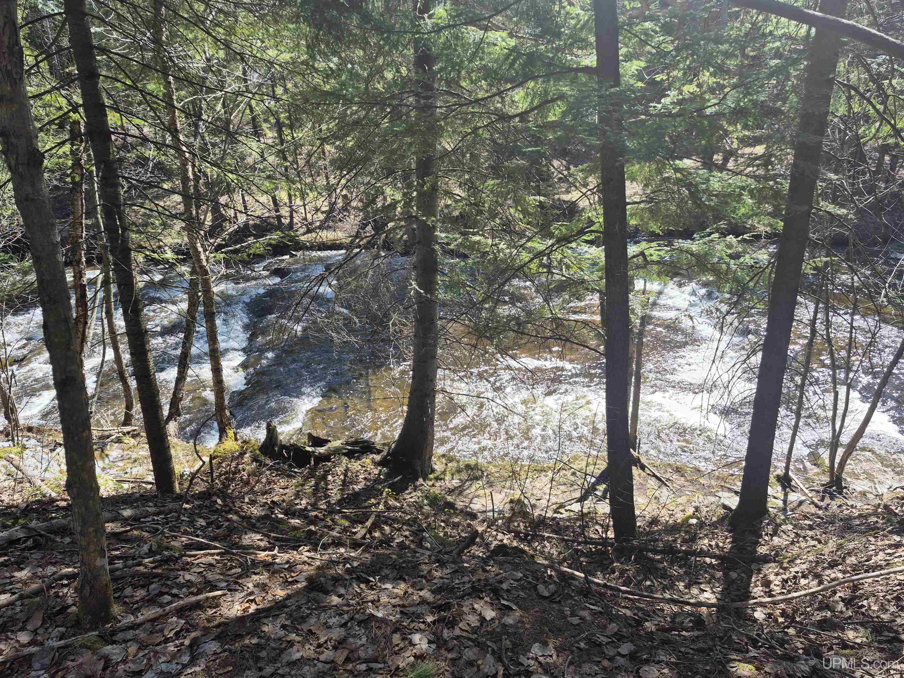12-acres Salmon Road L'Anse, MI 49946 - Photo 5 of 39