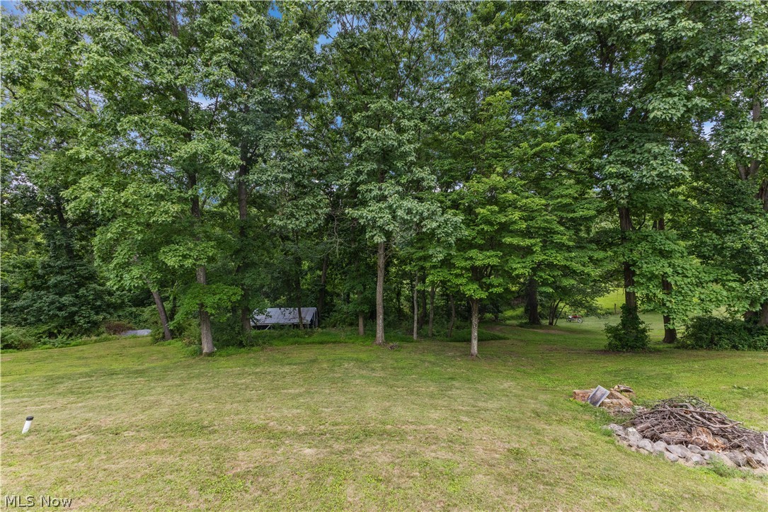 140 Iris Lane Colliers, WV 26035 - Photo 8 of 47