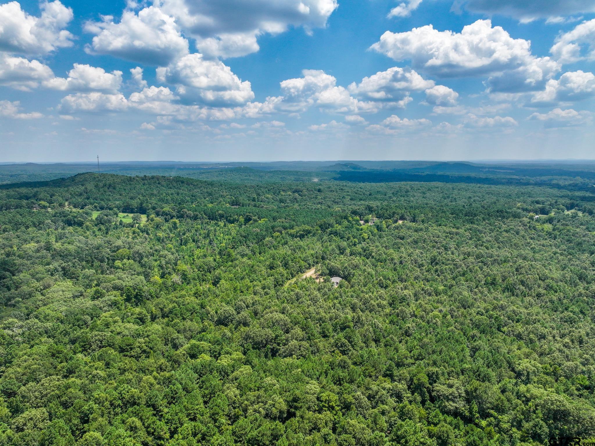 229 Pr 3900 Road Gilmer, TX 75644 - Photo 2 of 10