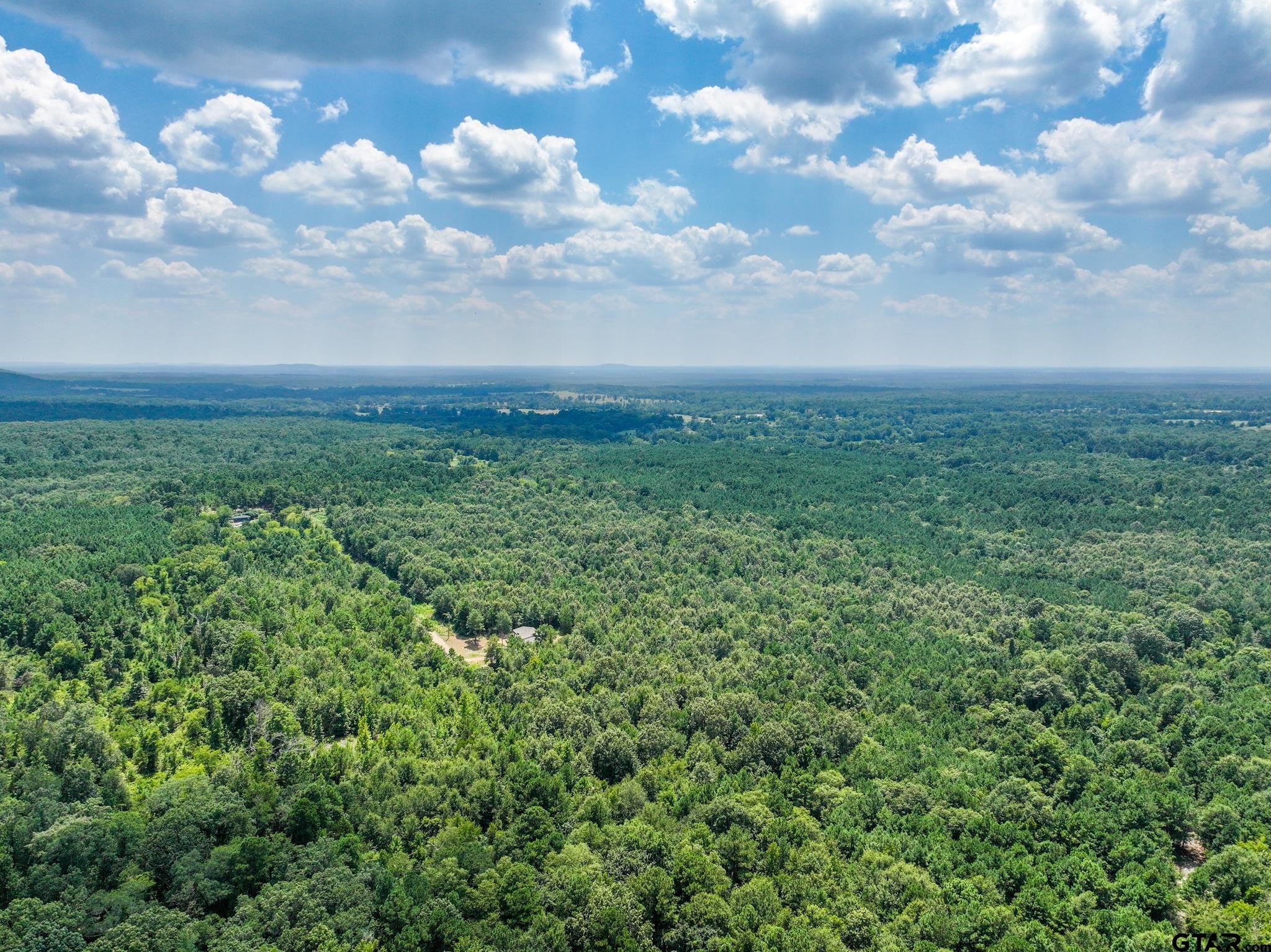 229 Pr 3900 Road Gilmer, TX 75644 - Photo 3 of 10