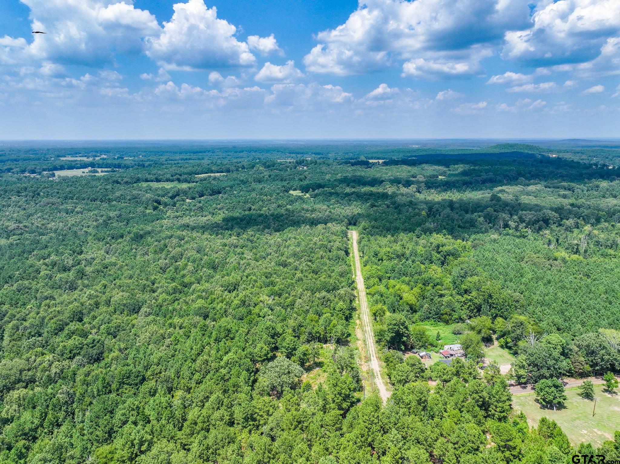 229 Pr 3900 Road Gilmer, TX 75644 - Photo 4 of 10