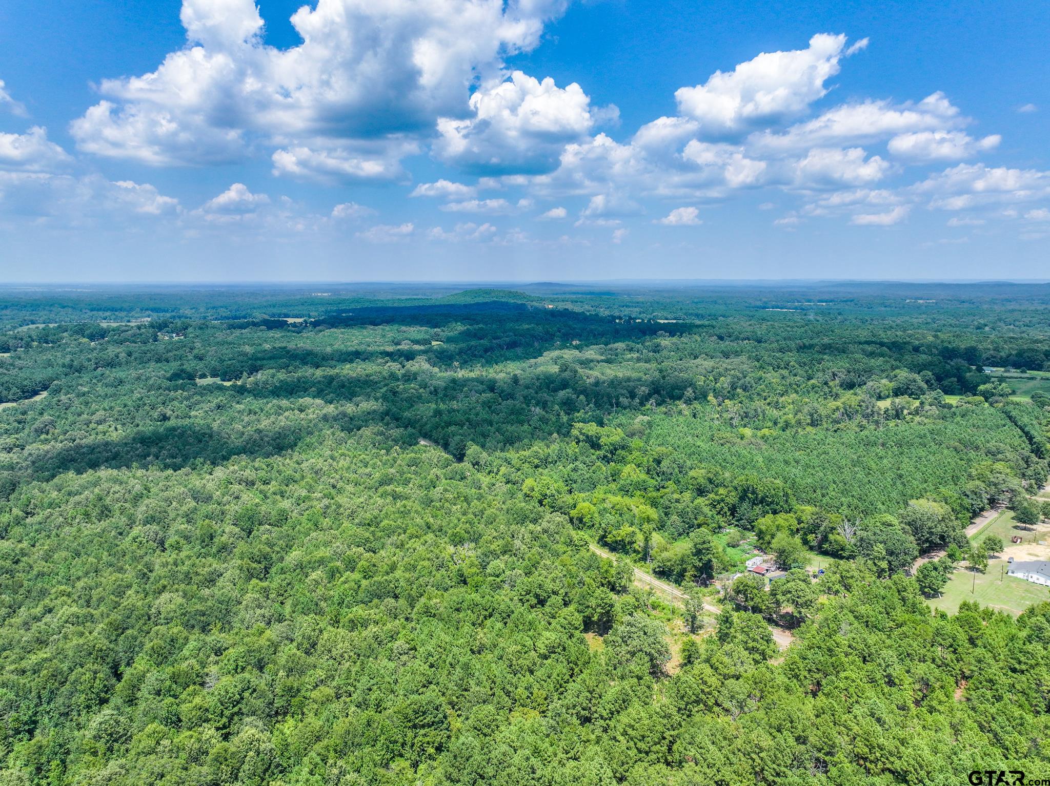 229 Pr 3900 Road Gilmer, TX 75644 - Photo 5 of 10