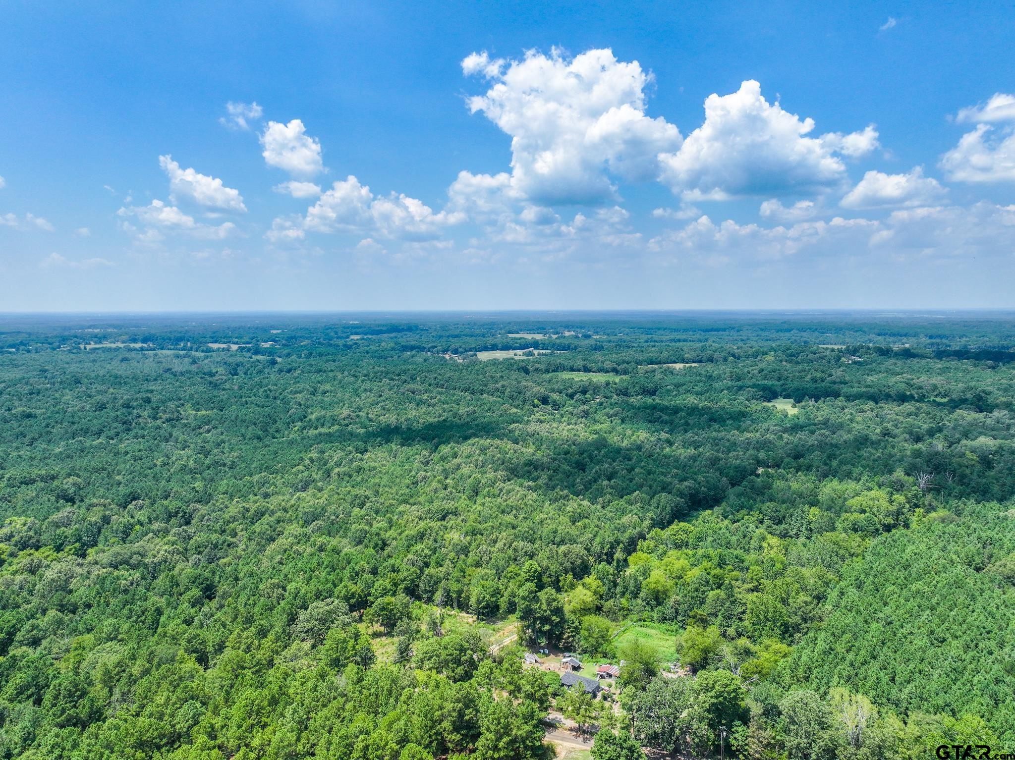 229 Pr 3900 Road Gilmer, TX 75644 - Photo 6 of 10