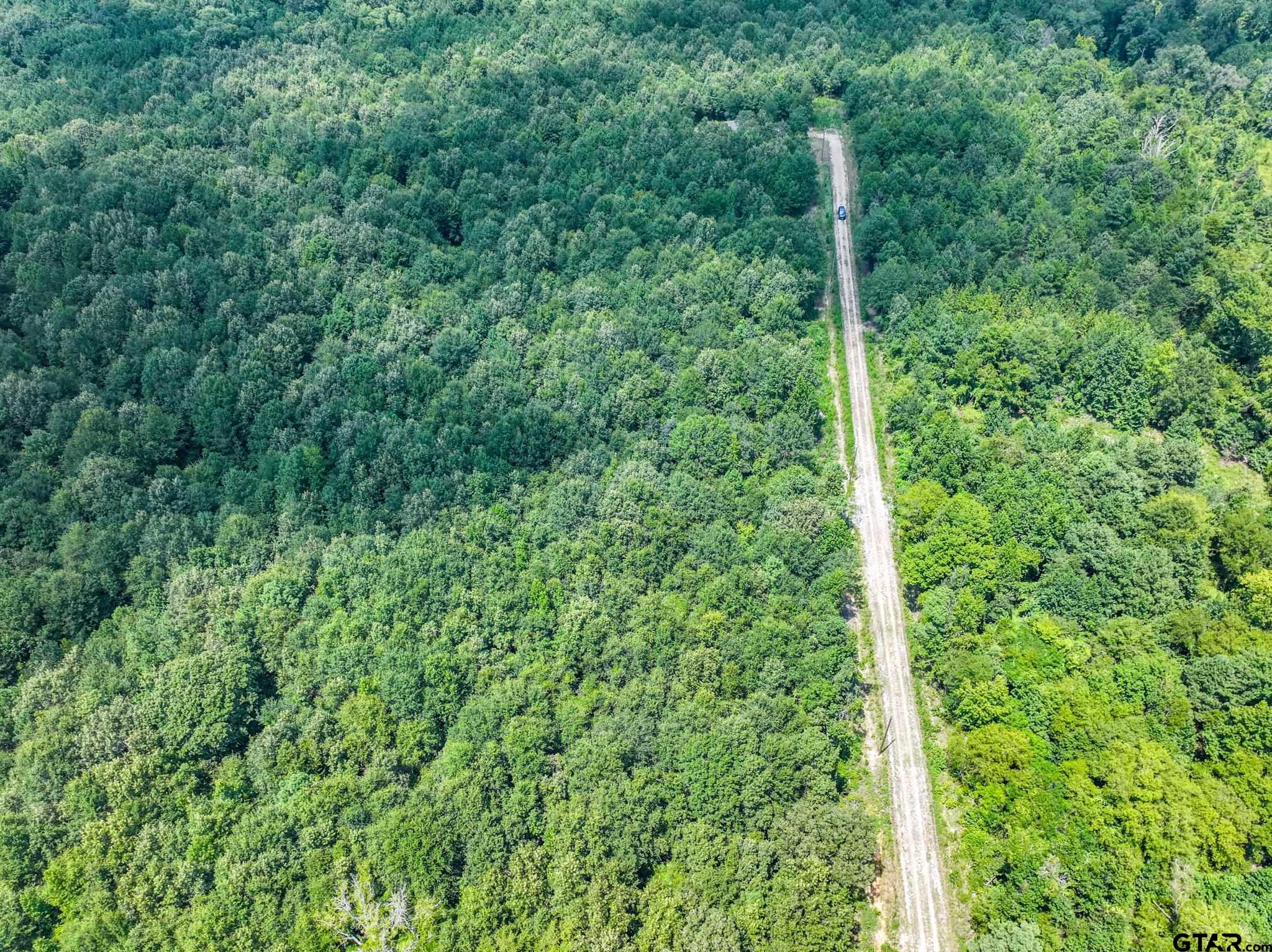 229 Pr 3900 Road Gilmer, TX 75644 - Photo 7 of 10