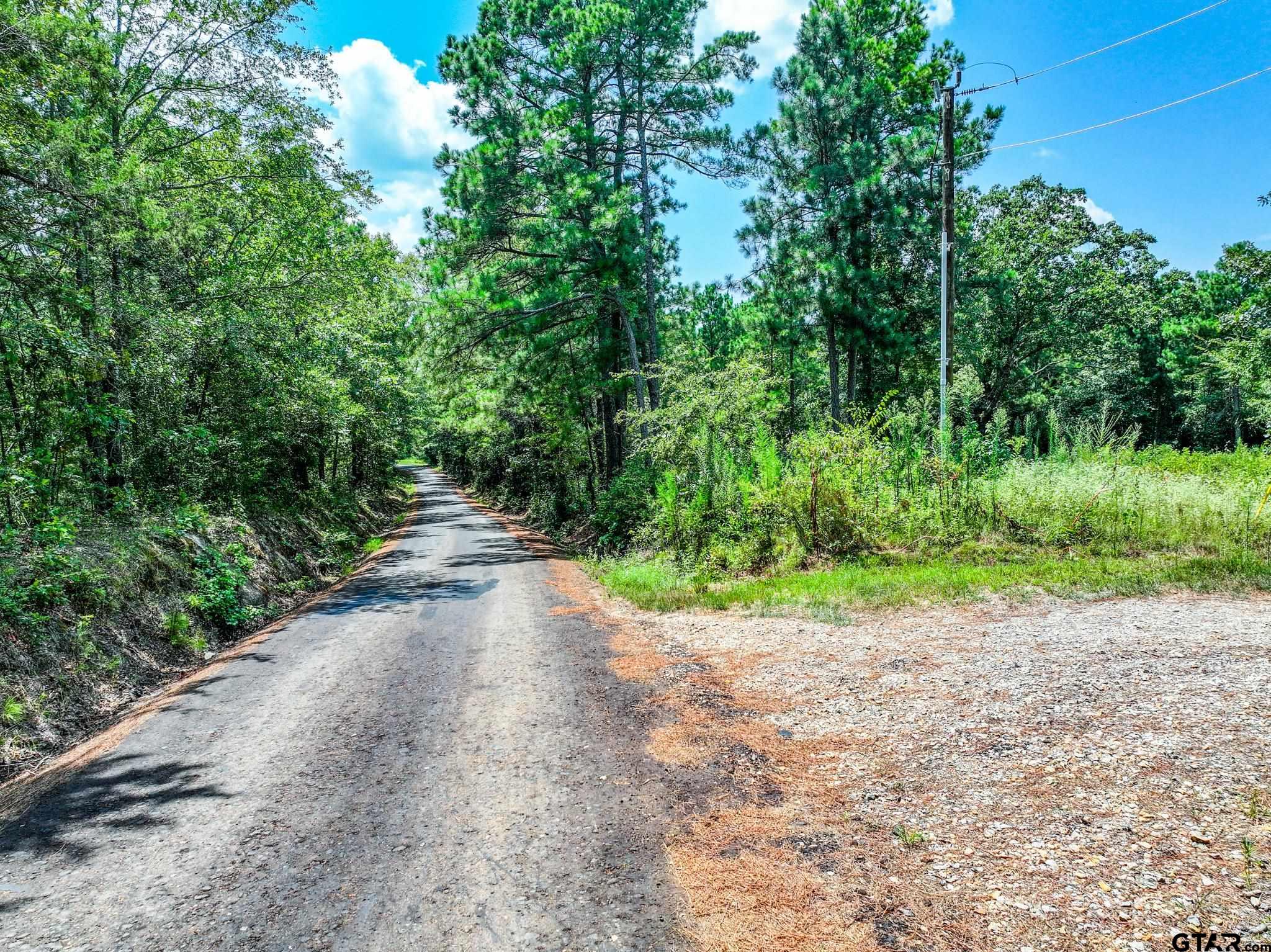 229 Pr 3900 Road Gilmer, TX 75644 - Photo 8 of 10